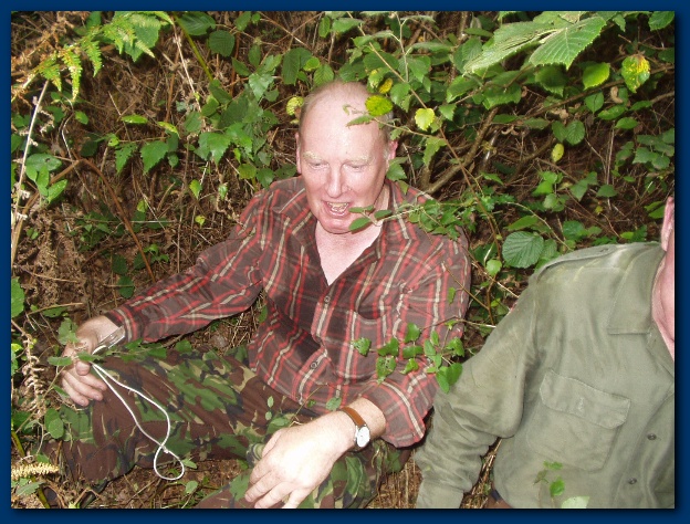 600x449 pixels (178K)